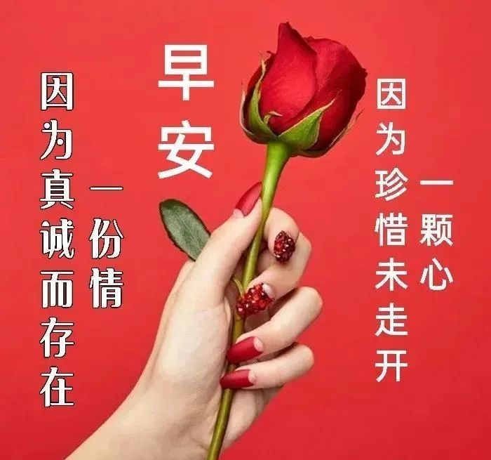 5月20日情人节最有创意的早安早上好图片2022唯美夏天早安问候祝福