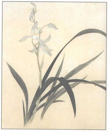 兰花工笔画法三种技法