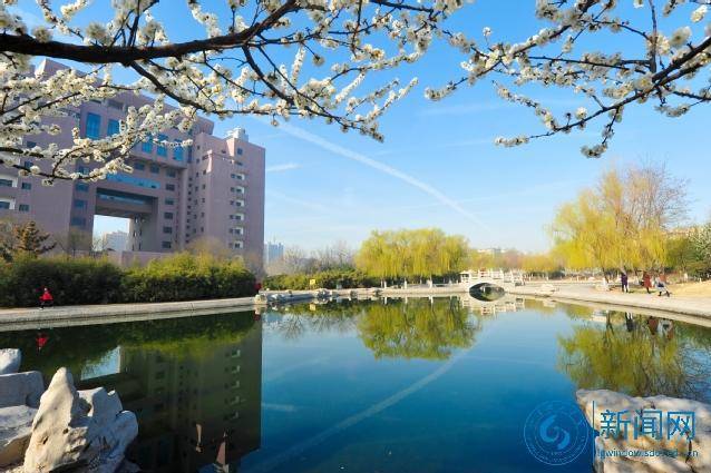 青未了理工大碎碎念写给山东理工大学建校66周年