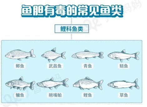 戒之馆婴亲霜分享鱼的这个部位 不能改善孩子视力 还有毒 腾讯新闻