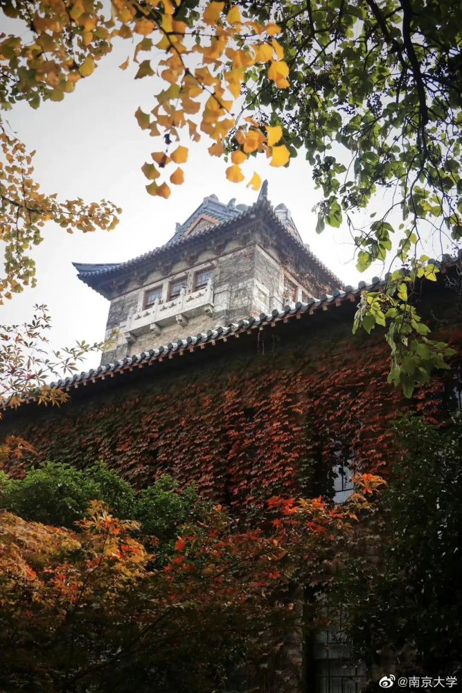 老照片带你看南京大学的120年!_腾讯新闻