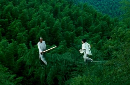 李安的《卧虎藏龙》中西文化结合的武侠电影,开创华语电影的先河