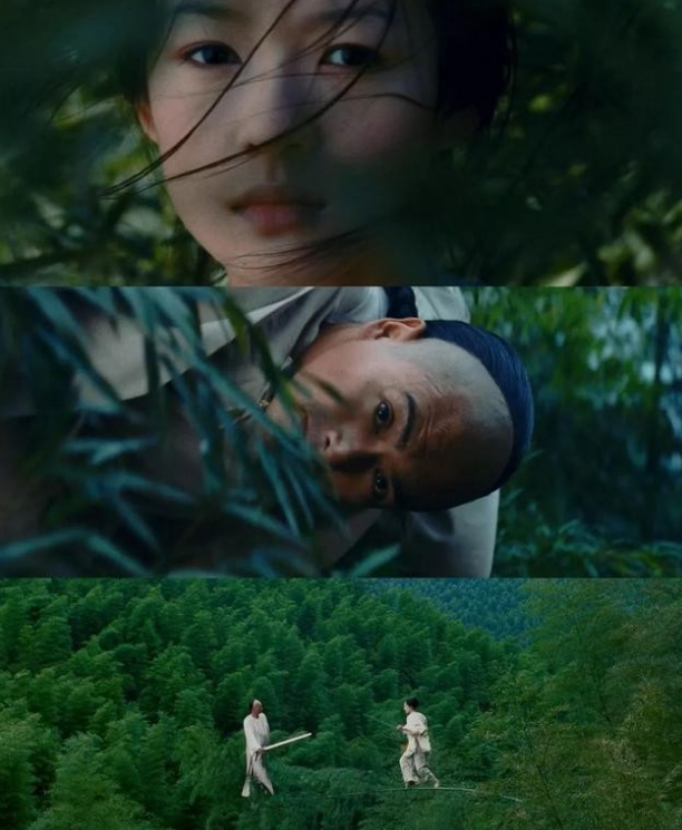 李安的卧虎藏龙中西文化结合的武侠电影开创华语电影的先河