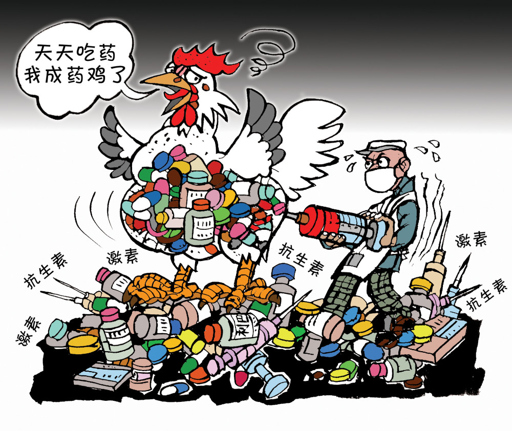 什么是抗生素鸡33天出栏10元一只它到底有何危害