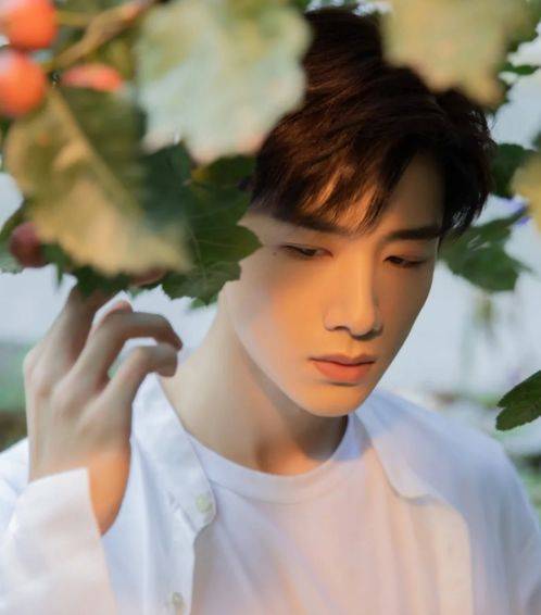 白敬亭帅气图片壁纸_腾讯新闻