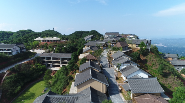 全國招商法王寺龍掛山梧桐漸豐茂只待鳳來棲