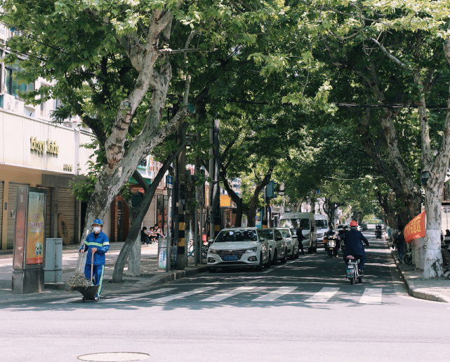 看着行人漫步,车流渐多,今天行驶在崇明的城区街道,上海像是按下暂停