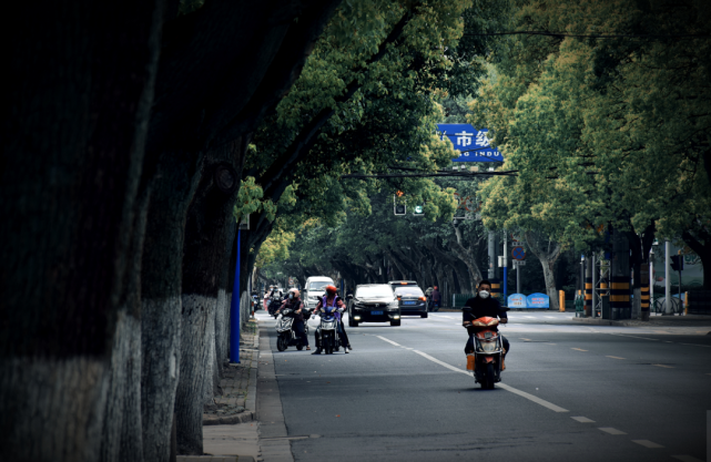 是崇明的烟火气回来了!我知道,喧闹的街道,来来往往的人群.