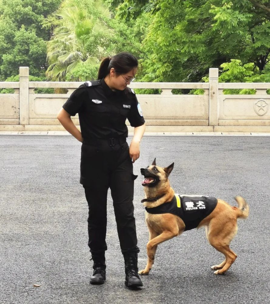 寻找最美湘警丨95后警犬训导员何利娜谁想当我男朋友必须得喜欢狗狗