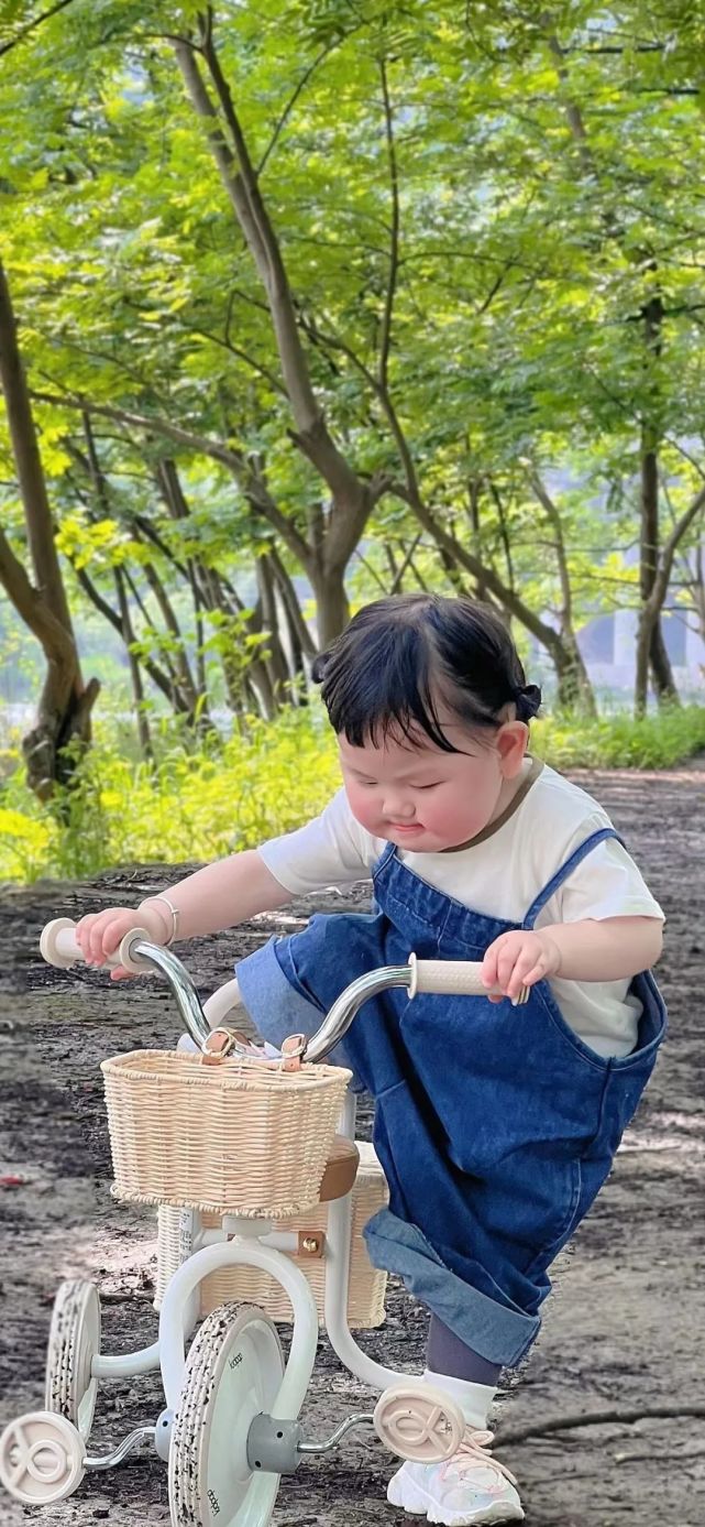 瑶一瑶明星壁纸抖音y瑶一瑶小肉包壁纸