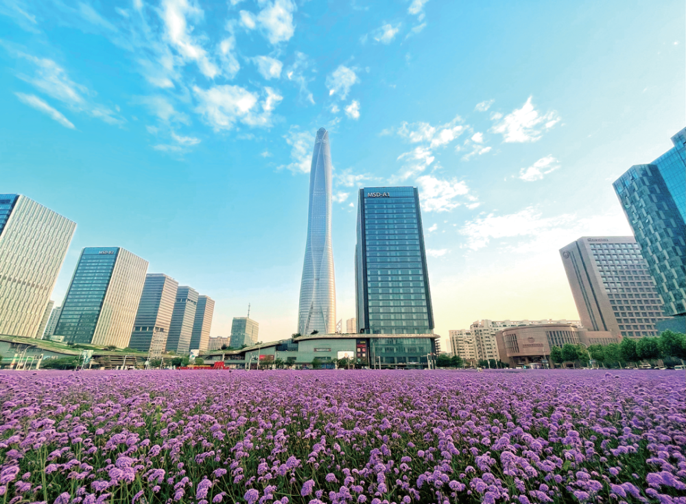 见证天津高质量发展泰达控股篇