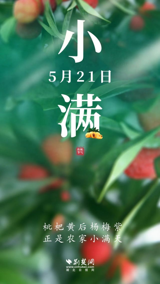 就在明天9时23分