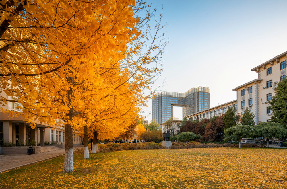 北京科技大学王牌专业：以“小”见大，极具前景！