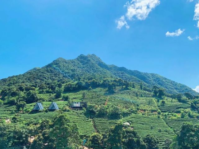 488抢"清远·壹山茶舍"