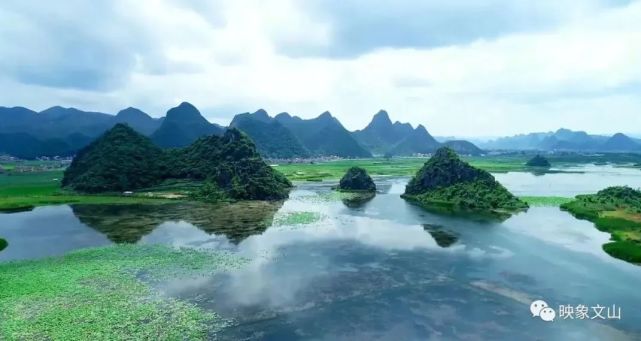 青丘:为唐七小说《三生三世》中虚构的国家,处东海之外,居大荒之中,由