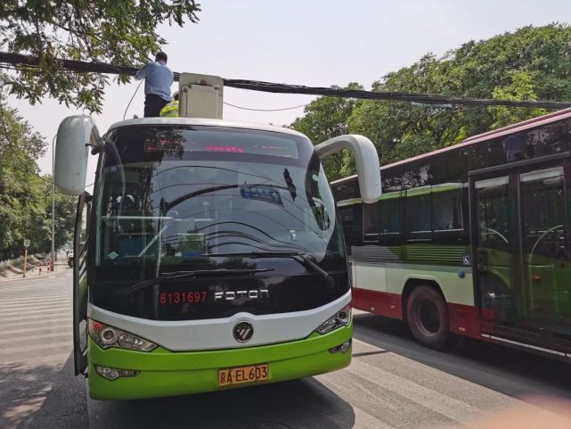 前锋学校附近一根掉落的电线悬在空中,多亏