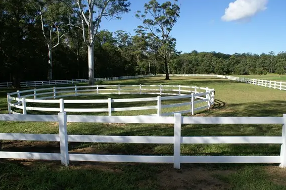 遛马时,许多种公马可能会在围栏前来回跑动数小时甚至数天.
