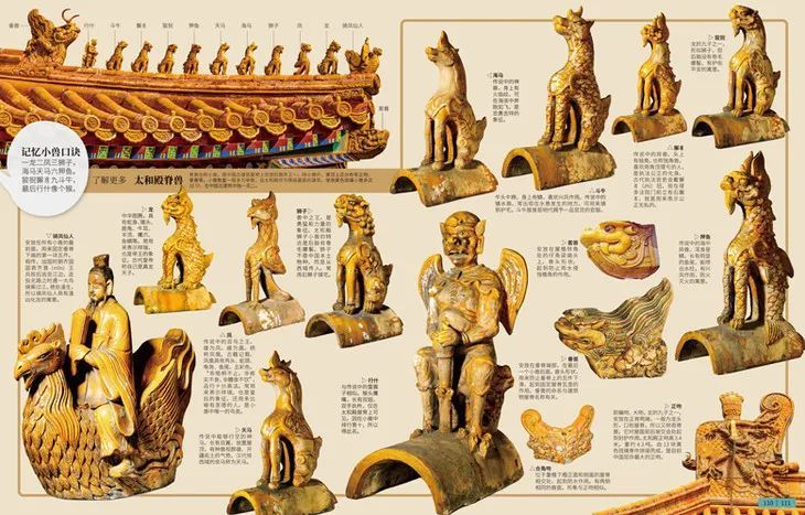 而在"皇宫外朝"主题里,和孩子科普,太和殿那一排可爱的脊兽,每一只都