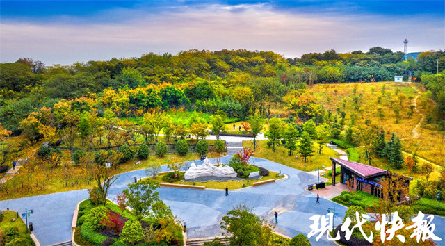 如何让三代人共享宜居南京岱山片区给出答案