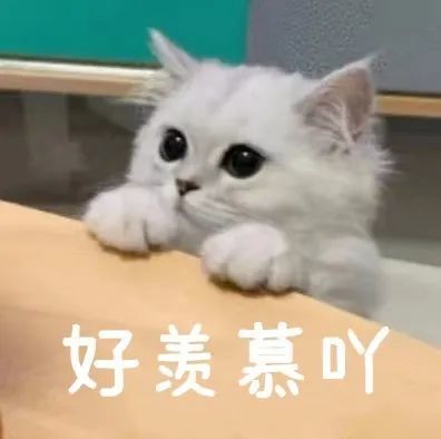 河大卫也是大写的羡慕!因为……别人家的情话也太美了吧!