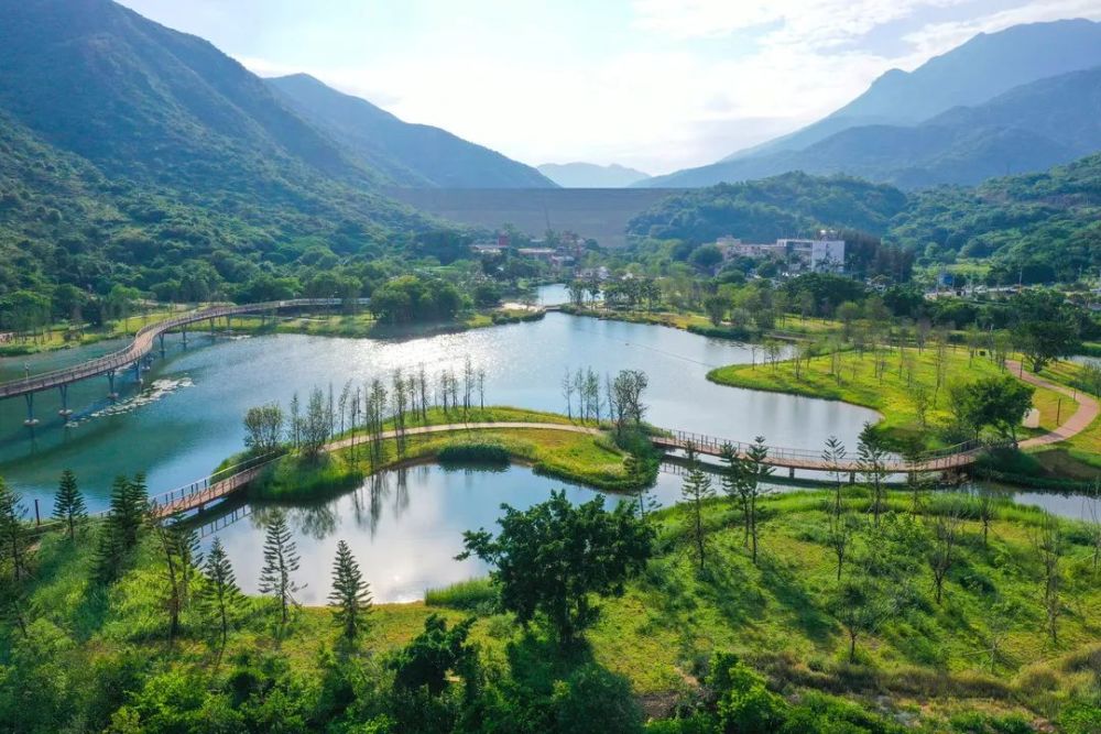 深圳大鹏这个红树林湿地园即将开放