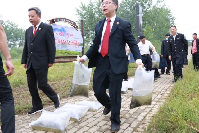 仙桃法院"送鱼回家",司法守护水清岸绿!