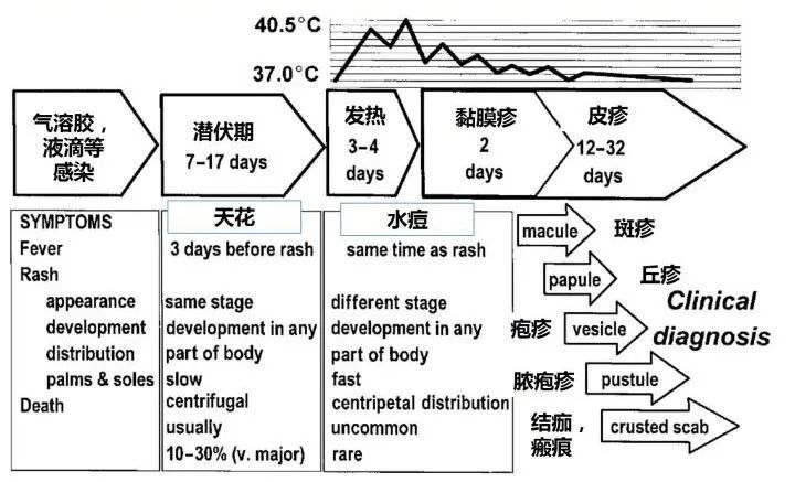 普通人挤不进去的飞盘局：要求京房京户，净资产800万以上中铝集团党组书记董事长