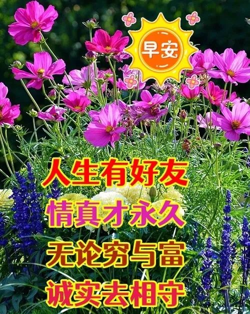 陽光暖心的早安問候祝福語圖片清晨最美早上好問候動態表情圖