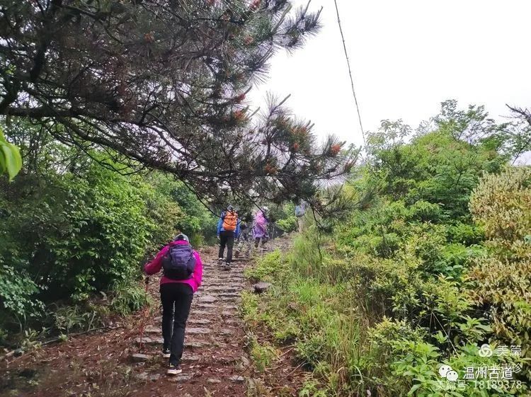 徒步登頂瑞安第一高峰金雞山你走過嗎