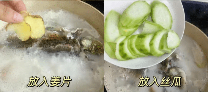 菜品鯽魚絲瓜湯