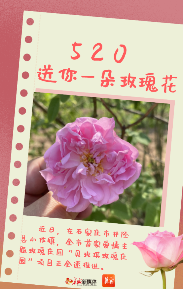 海报集520送你一朵玫瑰花