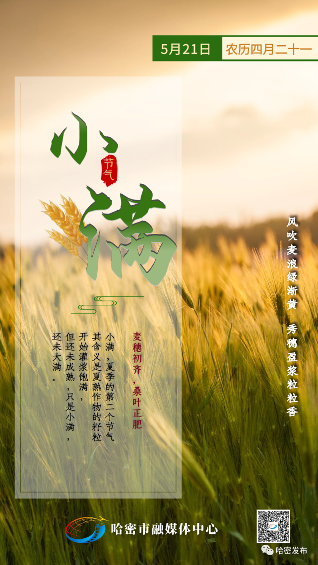 今日小满|小满正当时 万物渐盈盛!