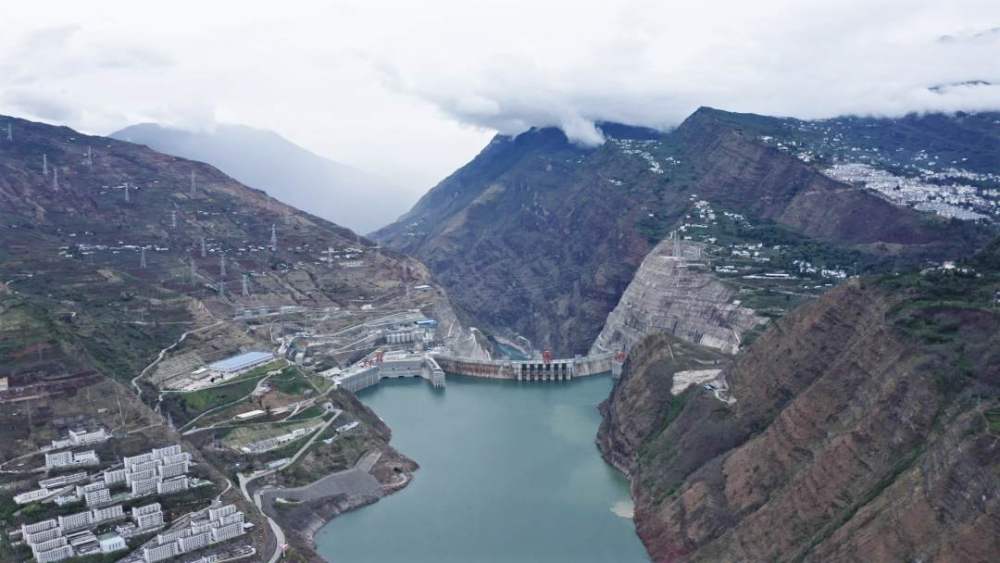 早fun丨罕见千只国家二级保护动物红脚隼现身腾冲