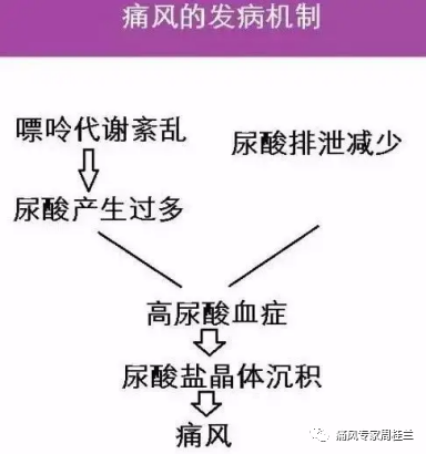 痛风的多重危害你知道吗,痛风专家周桂兰
