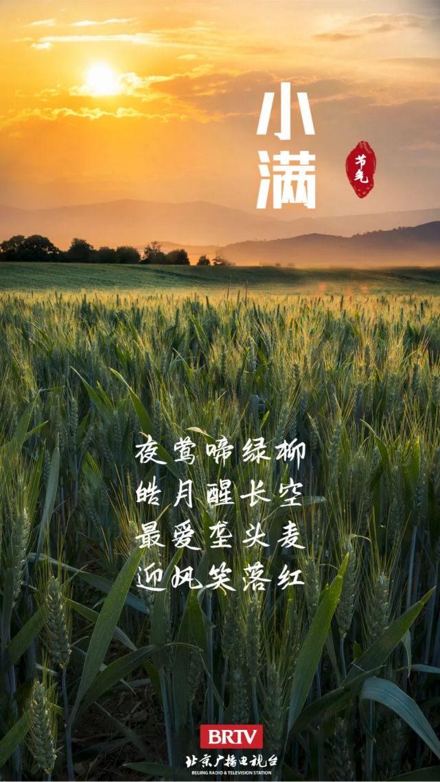 小满 丨小得盈满,万物向阳