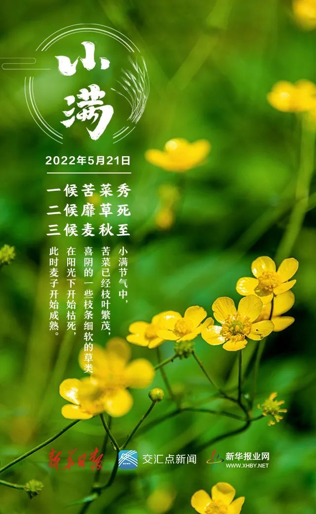 天气|今日,小满!盛夏将至!
