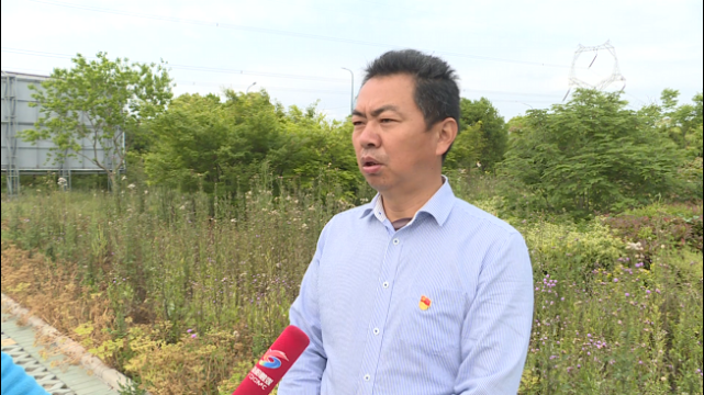 我们的新时代|潘国胜:科技兴农 助力乡村振兴