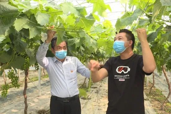 我们的新时代|潘国胜:科技兴农 助力乡村振兴