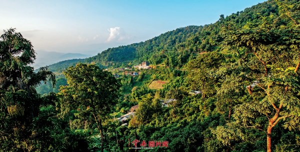 5·21國際茶日|尋茶問道 雲南最美十大茶山見聞