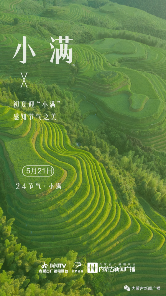 小满时节初夏迎小满感知节气之美