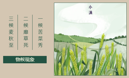 小满奏响夏忙的序曲