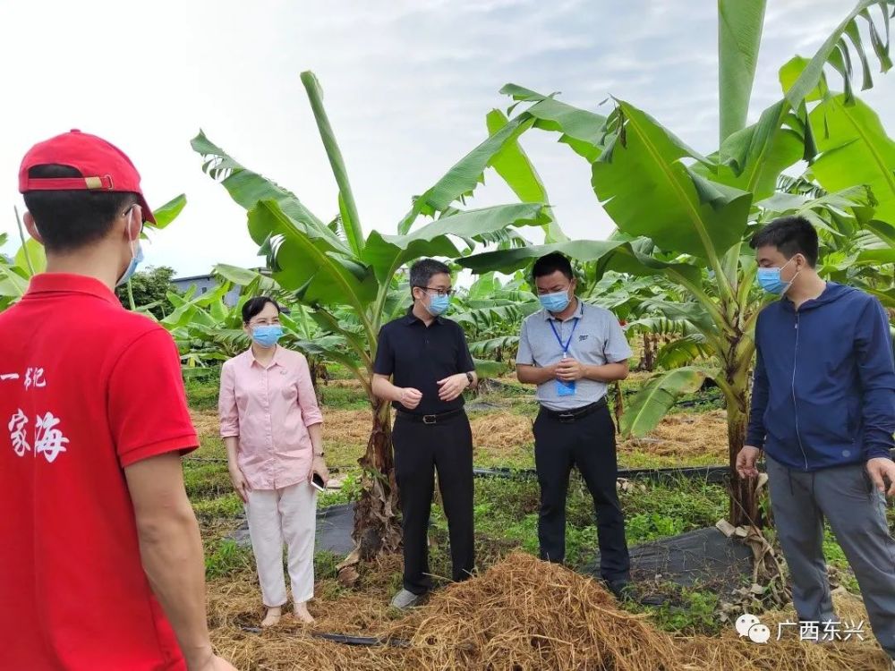 何翔专题调研巩固拓展脱贫攻坚成果反馈问题整改工作_腾讯新闻