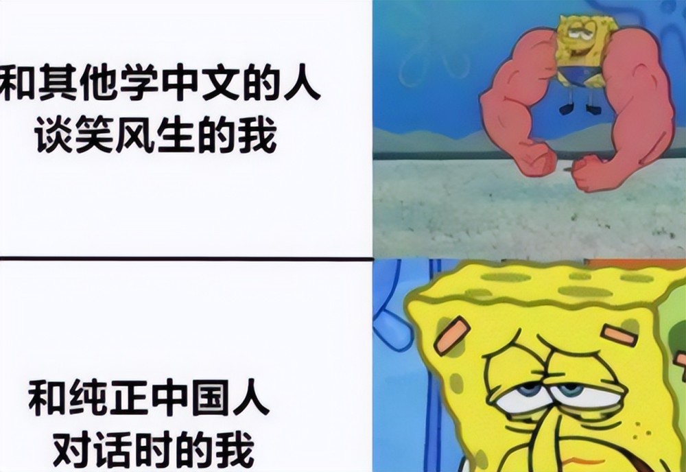 外國人這樣描述,