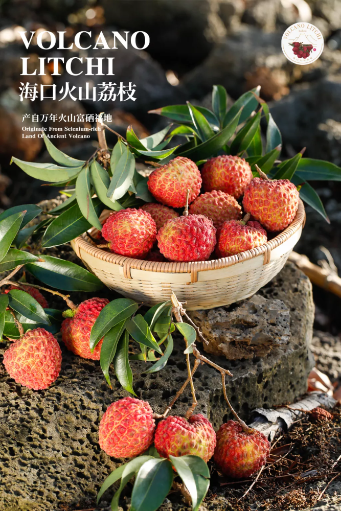 大如鸡蛋的火山荔枝王海南直送量少价好