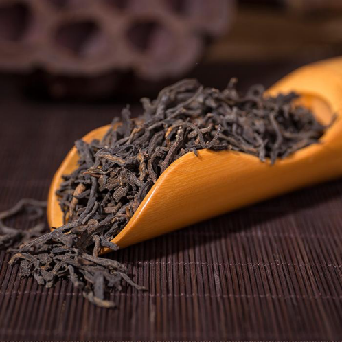 可以喝的千年古董:梧州六堡茶