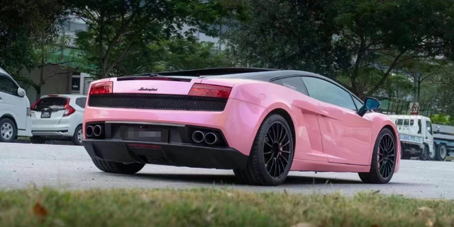 美女520喜提樱花粉兰博基尼,车价超过600万,运送方式很浪漫
