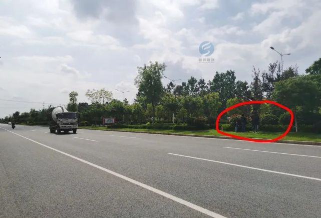 富顺二环路的果子竟遭"暴力"采摘,装不下还"兜着走"