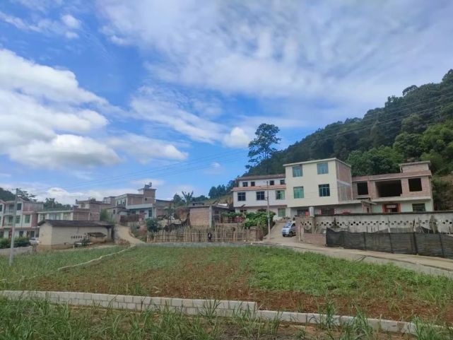 丁家坡村的"幸福密码"