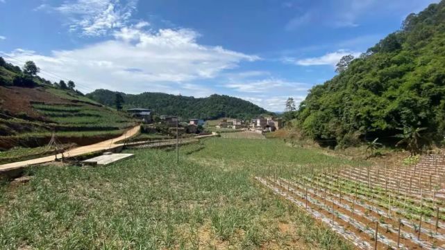 丁家坡村的"幸福密码"