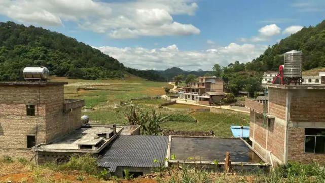 丁家坡村的"幸福密码"